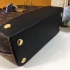 Louis Vuitton BENTO BOX M43517